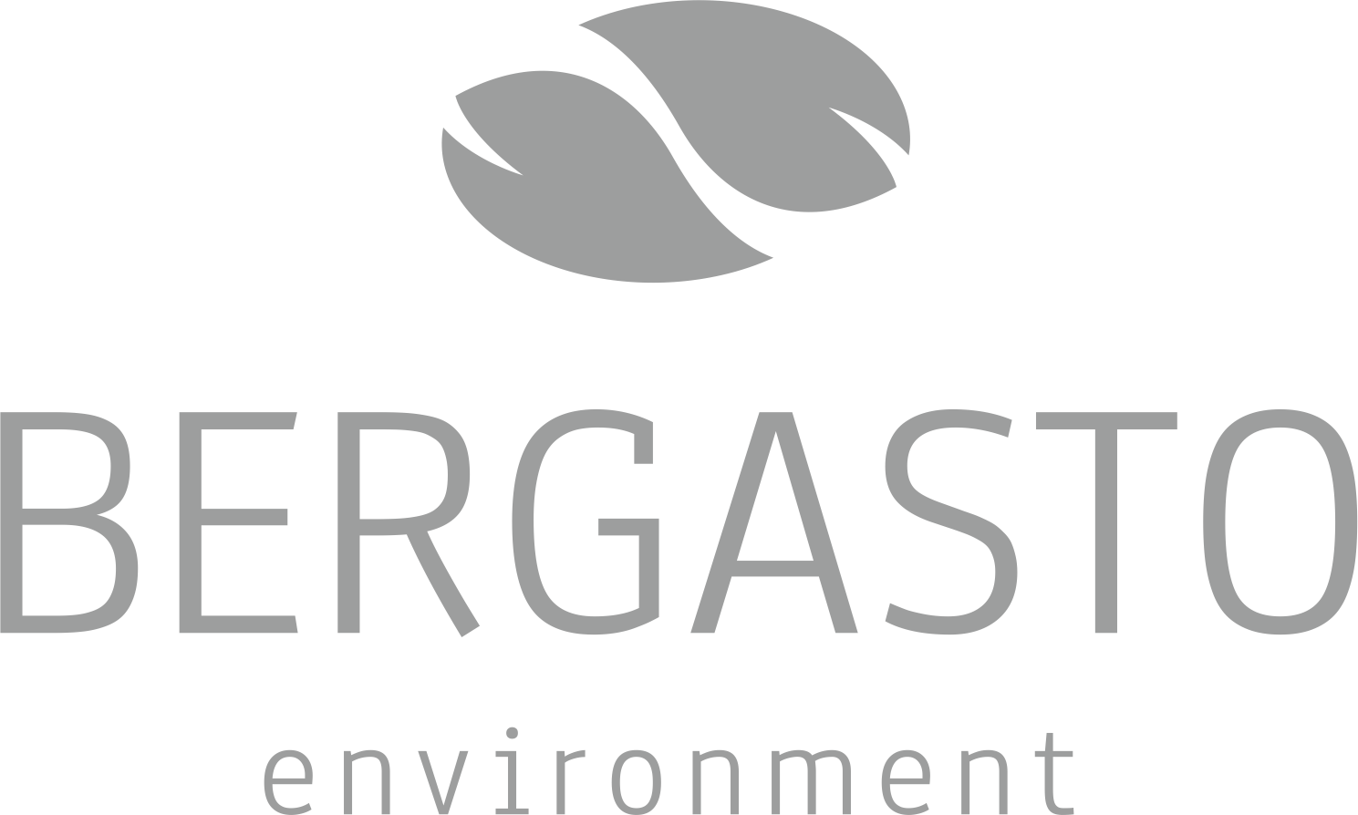 logo_bergasto_1